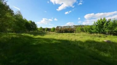 Alçak ve hızlı FPV insansız hava aracı tarlaları ve çayırlarda uçuyor..