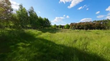 Alçak ve hızlı FPV insansız hava aracı tarlaları ve çayırlarda uçuyor..