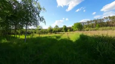 Alçak ve hızlı FPV insansız hava aracı tarlaları ve çayırlarda uçuyor..