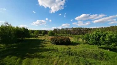 Alçak ve hızlı FPV insansız hava aracı tarlaları ve çayırlarda uçuyor..