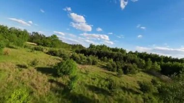 Alçak ve hızlı FPV insansız hava aracı tarlaları ve çayırlarda uçuyor..