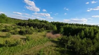 Alçak ve hızlı FPV insansız hava aracı tarlaları ve çayırlarda uçuyor..