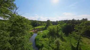 Alçak ve hızlı FPV insansız hava aracı ağaçların arasında nehrin üzerinde uçuyor..