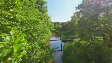 Alçak ve hızlı FPV insansız hava aracı ağaçların arasında nehrin üzerinde uçuyor..