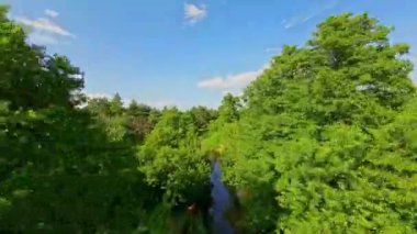 Alçak ve hızlı FPV insansız hava aracı ağaçların arasında nehrin üzerinde uçuyor..