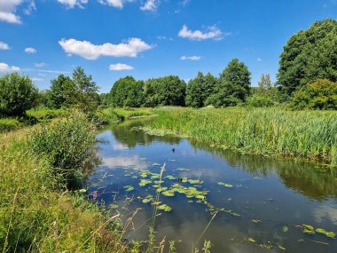 Orta Polonya 'daki küçük ve vahşi Grabia nehri..