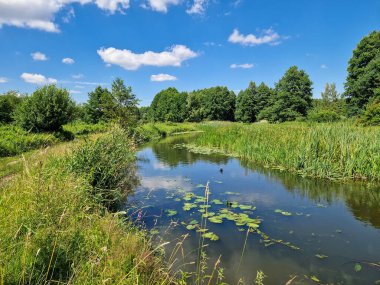 Orta Polonya 'daki küçük ve vahşi Grabia nehri..