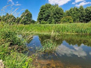 Orta Polonya 'daki küçük ve vahşi Grabia nehri..