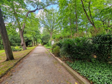 Almanya, Dresden 'deki Eski Tarih Mezarlığı