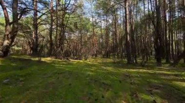 2. Dünya Savaşı 'ndan kalma savunma sığınağı..