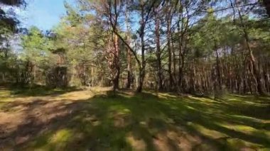 2. Dünya Savaşı 'ndan kalma savunma sığınağı..