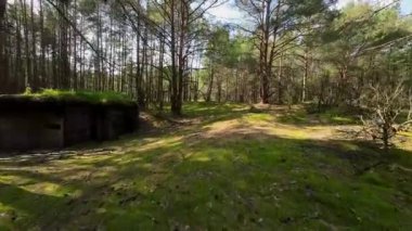 2. Dünya Savaşı 'ndan kalma savunma sığınağı..