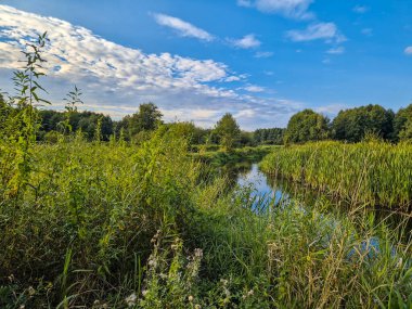 Tarlalar, ormanlar ve altyapısı arasında akan küçük bir nehir.
