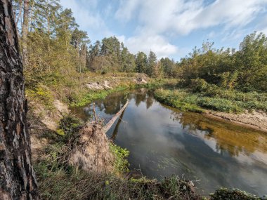 Tarlalardan akan küçük bir nehir, Orta Polonya 'daki ormanlar.