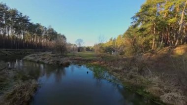 Aralık 'ta küçük bir nehrin üzerinden alçak uçuş.