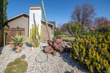 Kaliforniya, ABD 'deki ahşap evler.