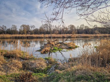 Warta Nehri ve kolları, ilkbahar başlarında, Polonya.