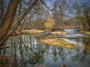 Warta Nehri ve kolları, ilkbahar başlarında, Polonya.
