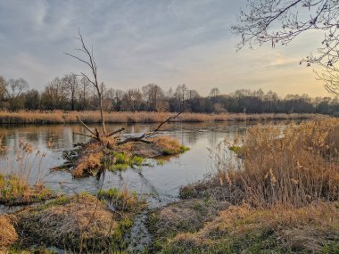 Warta Nehri ve kolları, ilkbahar başlarında, Polonya.