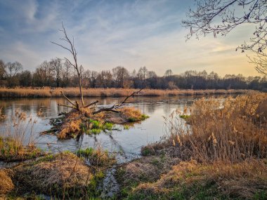 Warta Nehri ve kolları, ilkbahar başlarında, Polonya.
