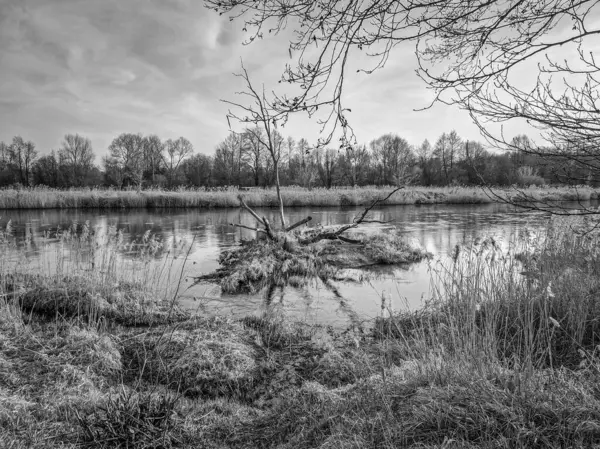 Warta Nehri ve kolları, ilkbahar başlarında, Polonya.