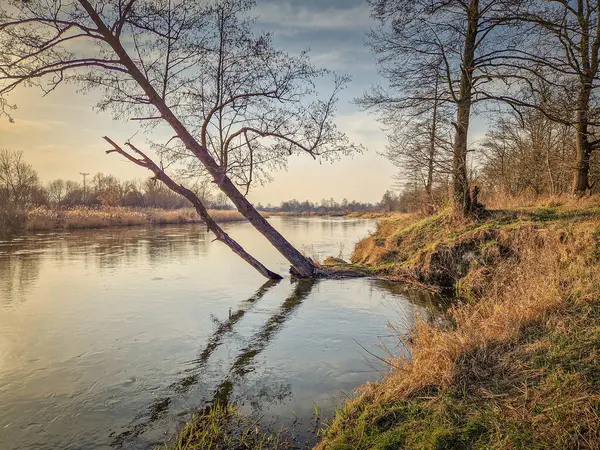 Warta Nehri ve kolları, ilkbahar başlarında, Polonya.