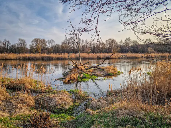 Warta Nehri ve kolları, ilkbahar başlarında, Polonya.