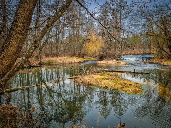 Warta Nehri ve kolları, ilkbahar başlarında, Polonya.