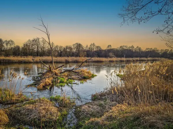 Warta Nehri ve kolları, ilkbahar başlarında, Polonya.