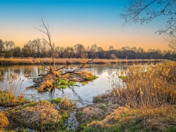 Warta Nehri ve kolları, ilkbahar başlarında, Polonya.