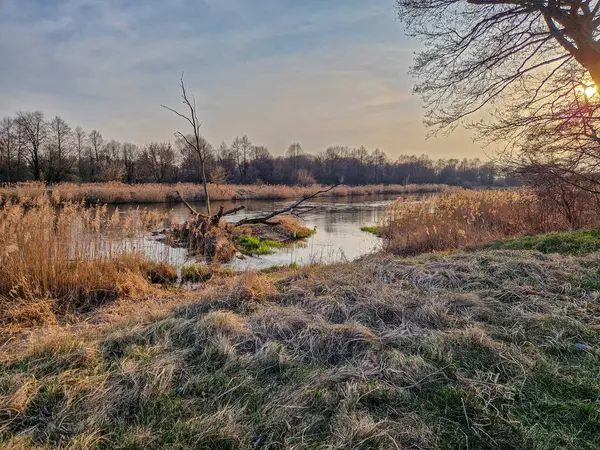 Warta Nehri ve kolları, ilkbahar başlarında, Polonya.