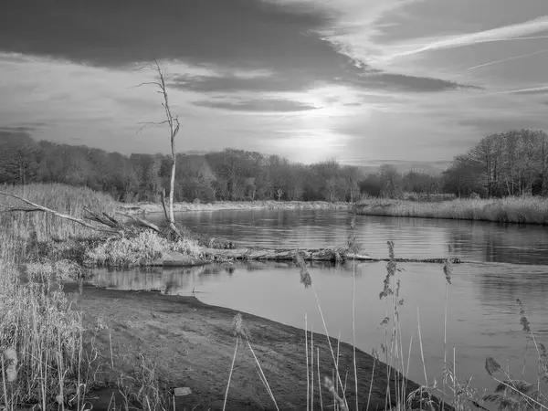 Warta Nehri ve kolları, ilkbahar başlarında, Polonya.