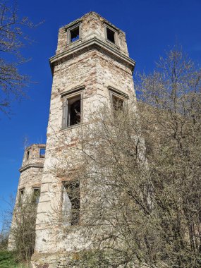 Polonya, Podzamcze Piekoszowskie 'deki Tarlow Sarayı kalıntıları.