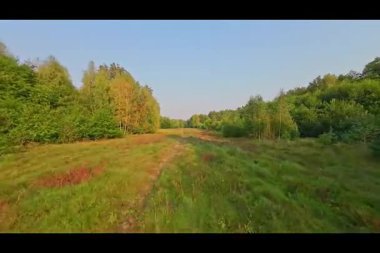 # Ormanın üzerinden alçaktan uçarak #.