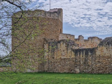 Polonya, Inowodz 'daki Kale Harabeleri.