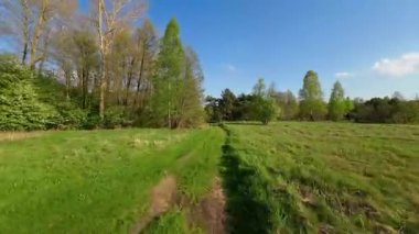 Baharın başında çayırların üzerinden alçak uçuş