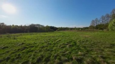 Baharın başında çayırların üzerinden alçak uçuş