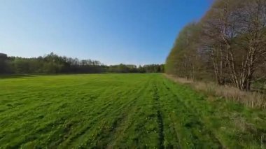 Baharın başında çayırların üzerinden alçak uçuş