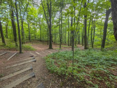 Polonya 'nın Smolen kentindeki Kale kalıntıları.