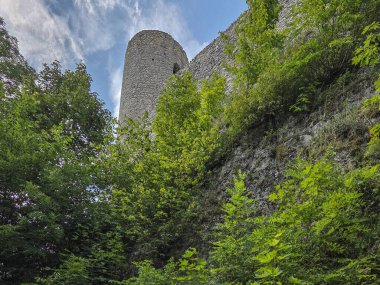 Polonya 'nın Smolen kentindeki Kale kalıntıları.