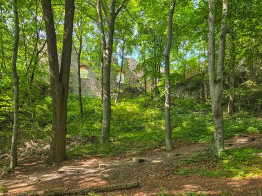 Polonya 'nın Smolen kentindeki Kale kalıntıları.