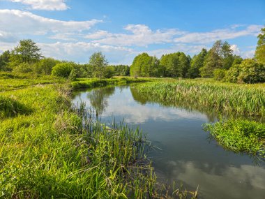 Orta Polonya 'da küçük bir Grabia nehri.
