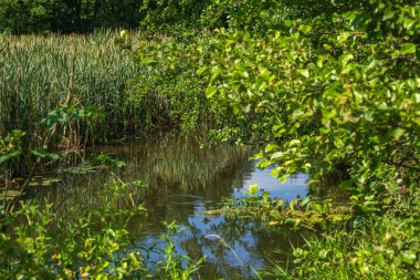 Orta Polonya 'da küçük bir Grabia nehri.