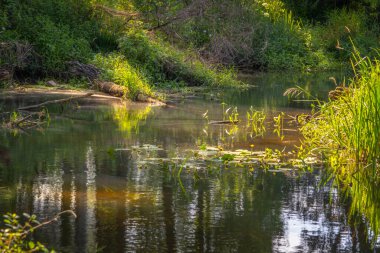 Orta Polonya 'da küçük bir Grabia nehri.