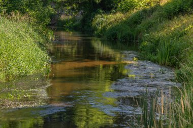 Orta Polonya 'da küçük bir Grabia nehri.