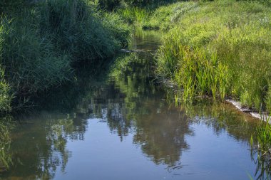 Orta Polonya 'da küçük bir Grabia nehri.