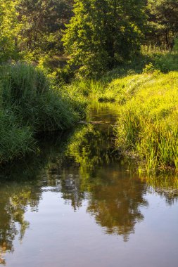 Orta Polonya 'da küçük bir Grabia nehri.