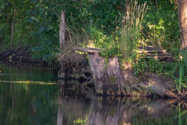 Orta Polonya 'daki küçük Grabia Nehri..