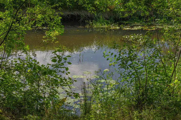 Orta Polonya 'daki küçük Grabia Nehri..