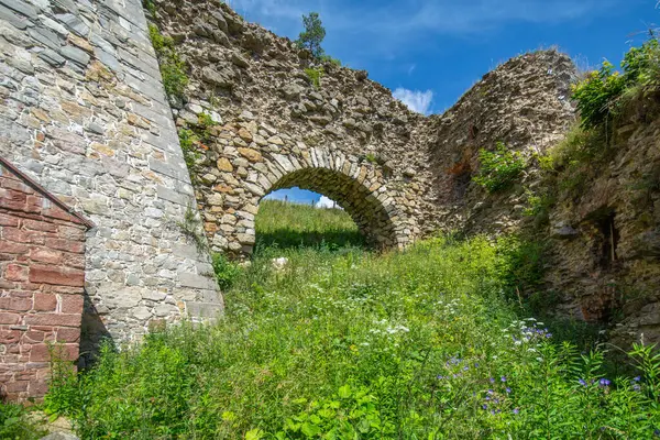 Polonya 'daki Srebrna Gra Kalesi.